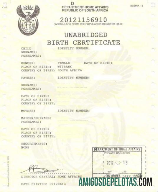 Certidão de Nascimento de Assuntos Internos do Departamento da África do Sul amostra